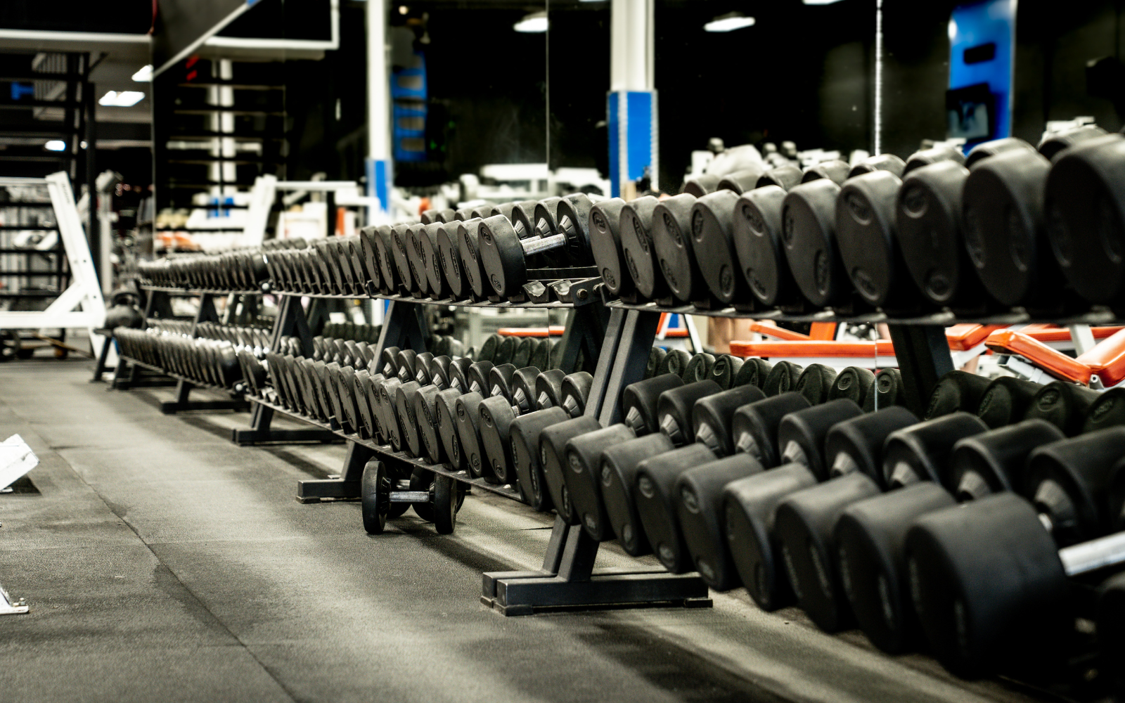 Image de la salle d'entraînement de la Cité Fitness, gym à Québec